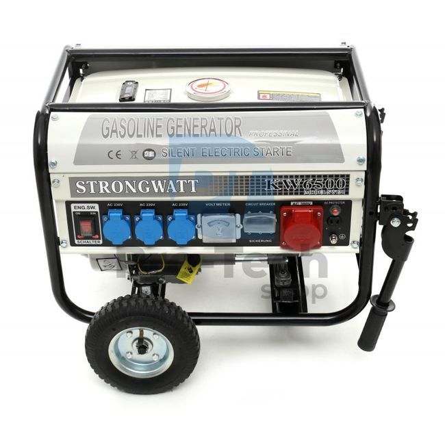 Električni generator z AVR 2500W 230/380V 19043